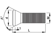 Torx csavar 60° M4x0.70  L=10.00 L1=1.20 mm