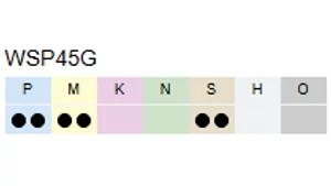 SDMT09T308-D57 WSP45G